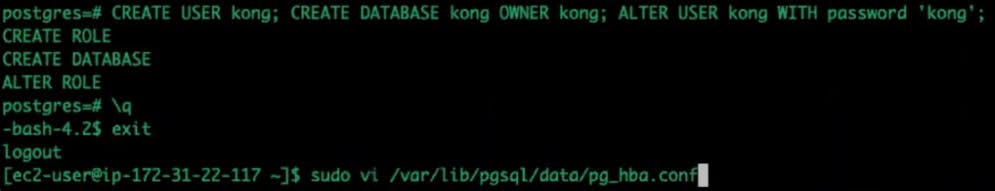 Kong Gateway Tutorial: Create User